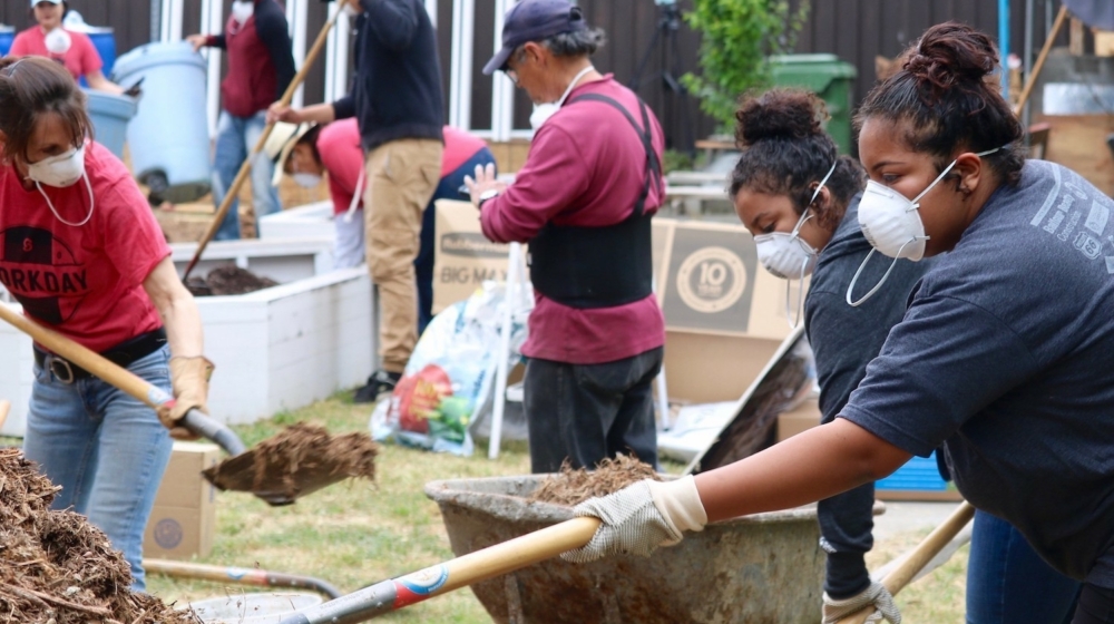 WLI community garden 2